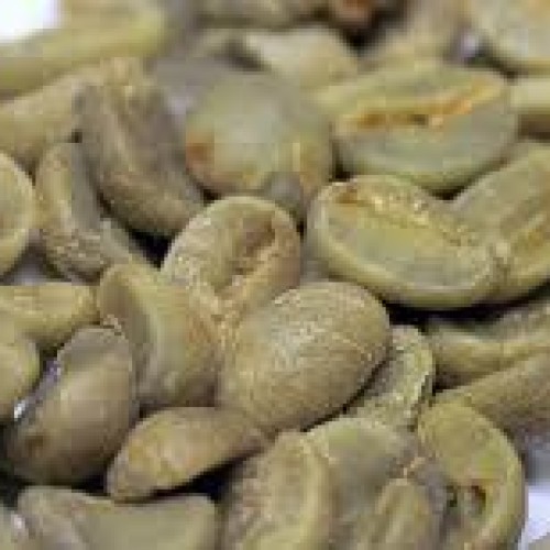 Green coffee bean extract 